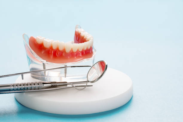 Best Traditional Braces  in Egon City, OR